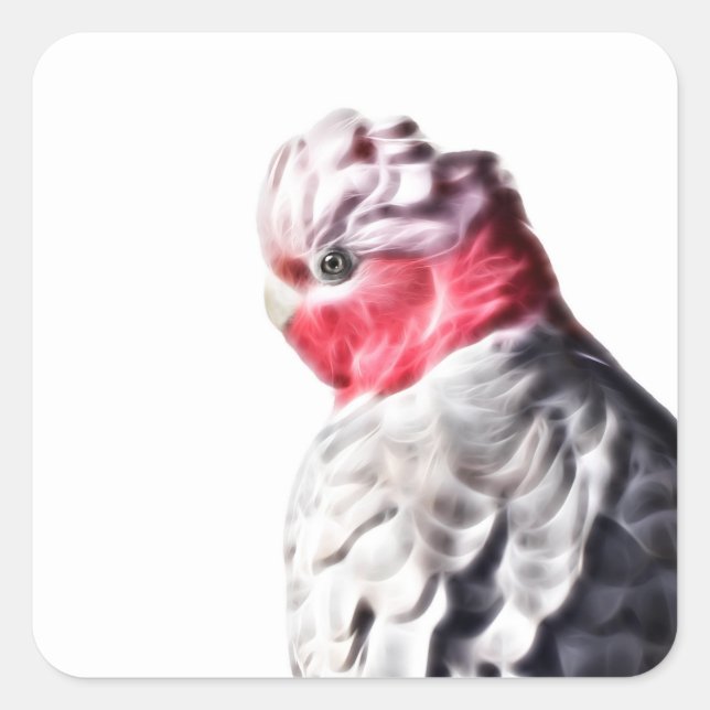 Luminous Parrot Art Rose Breasted Cockatoo Sticker (Front)