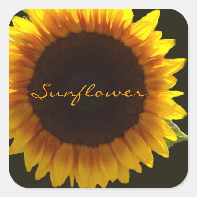 Luminous Sunflower Square Sticker (Front)
