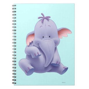 Lumpy 1 notebook