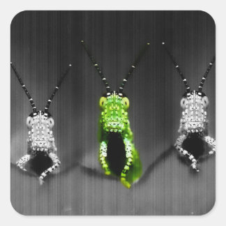 Lumpy Green Bug Square Sticker