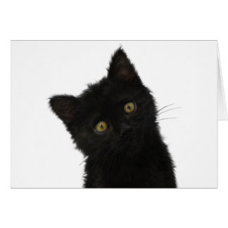 Luna Bella Black Kitten Cards