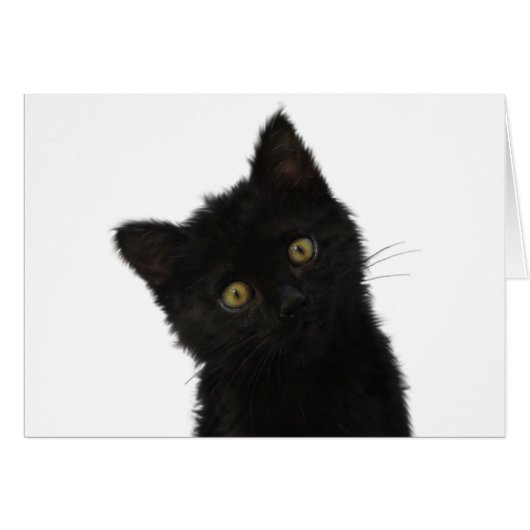 Luna Bella Black Kitten Cards (Front Horizontal)