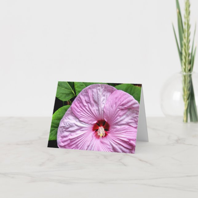 Luna Blush Card (Front)