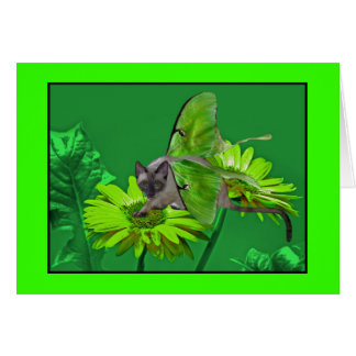 Luna Cat Vibrant Green Gerbera Cards