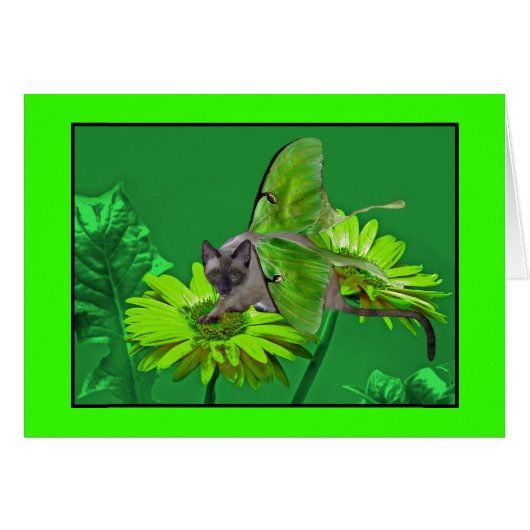 Luna Cat Vibrant Green Gerbera Cards (Front Horizontal)