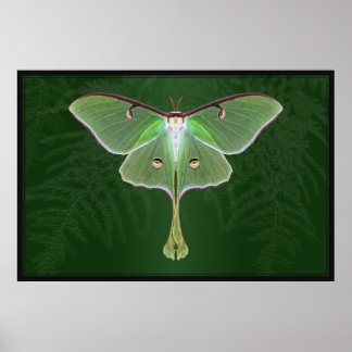 Luna Emerald Art Poster -60x40 -other sizes also
