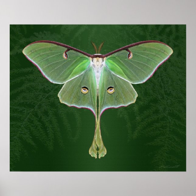 Luna Emerald Art Print -24x20 -other sizes also (Front)