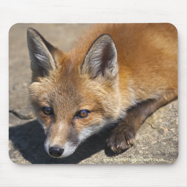 Luna Fox Mousemat Mouse Pad (Front)