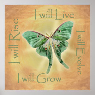 Luna Moth Artistic Motivational Poster Print
