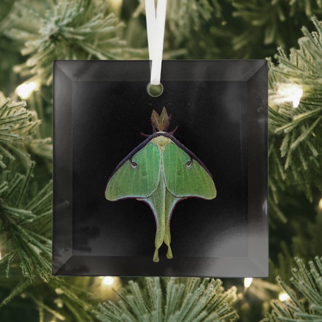 Luna Moth Beveled Glass Ornament
