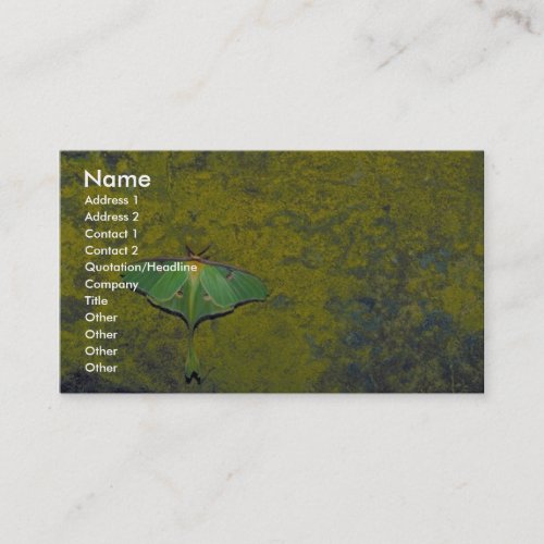 Luna moth business card