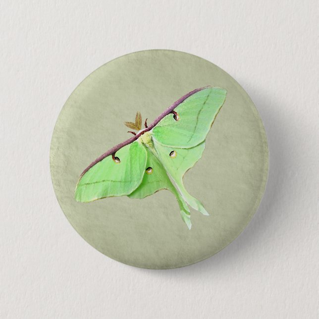 Luna Moth Button (Front)