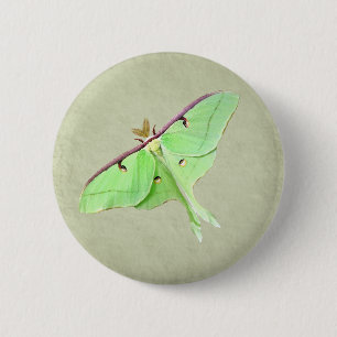 Luna Moth Button