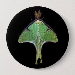 Luna Moth Button