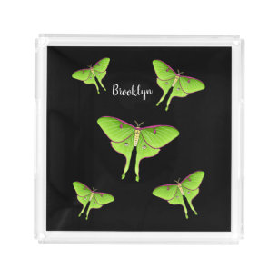 Luna Moth cartoon illustration Acrylic Tray