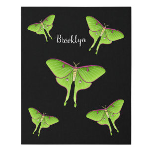 Luna Moth cartoon illustration Faux Canvas Print