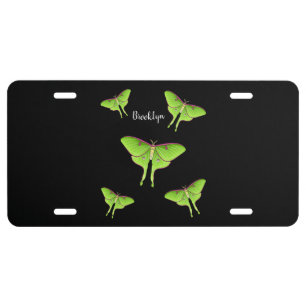 Luna Moth cartoon illustration License Plate