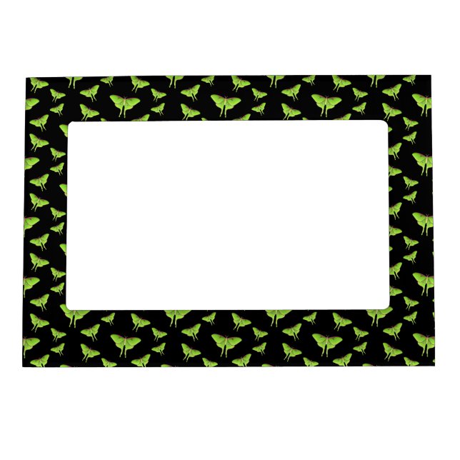 Luna Moth cartoon illustration  Magnetic Frame (Front)