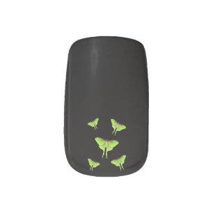 Luna Moth cartoon illustration Minx Nail Art