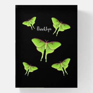 Luna Moth cartoon illustration Paperweight