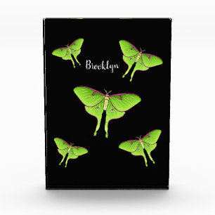 Luna Moth cartoon illustration Photo Block