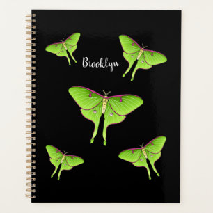Luna Moth cartoon illustration  Planner