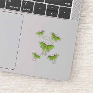 Luna Moth cartoon illustration Sticker
