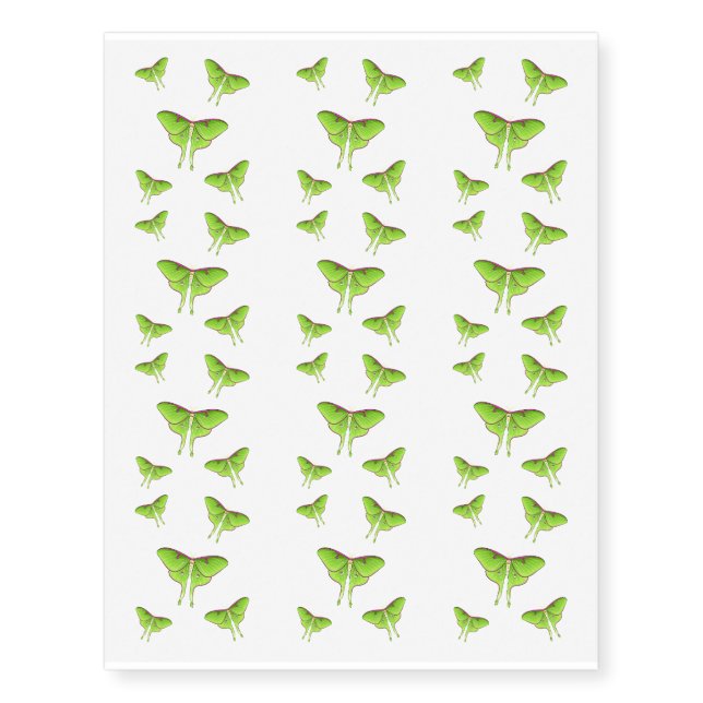 Luna Moth cartoon illustration  Temporary Tattoos (Front)