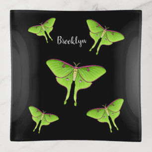 Luna Moth cartoon illustration Trinket Tray