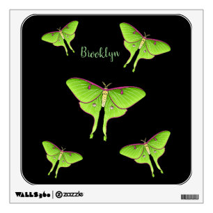 Luna Moth cartoon illustration Wall Decal