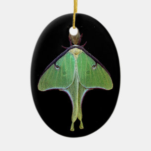 Luna Moth Ceramic Ornament