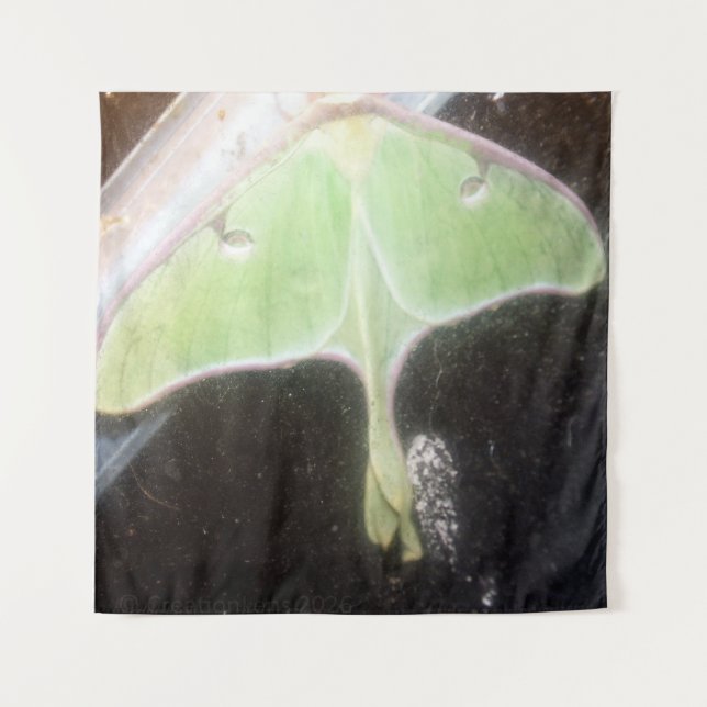 Luna Moth Close-Up Tapestry (Front)