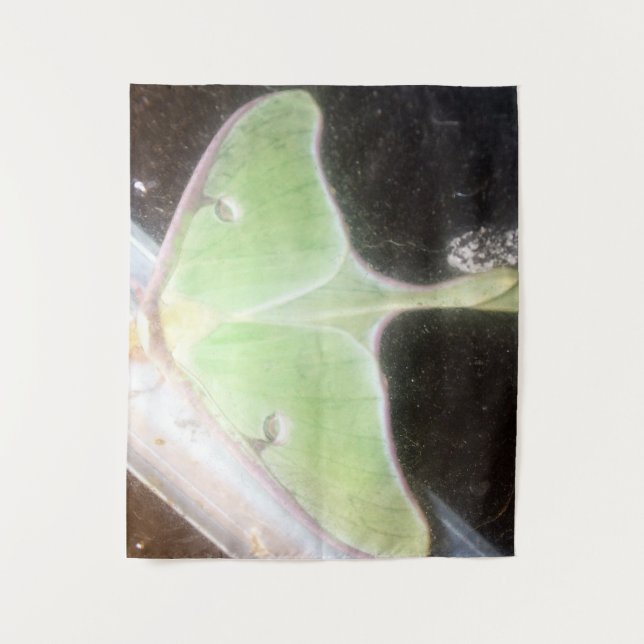 Luna Moth Close-Up Tapestry (Front)