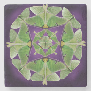 Luna Moth Coaster