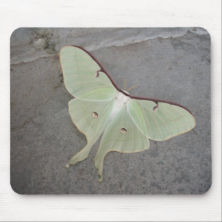 Luna moth gray background-mousepad mouse pad