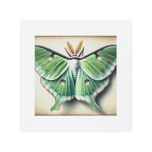 Luna Moth in Watercolor and Ink 230824IREF213 - Wa Metal Print
