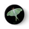 Luna Moth  Insect Button