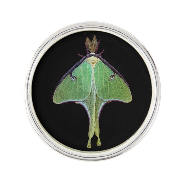 Luna Moth Lapel Pin (Front)
