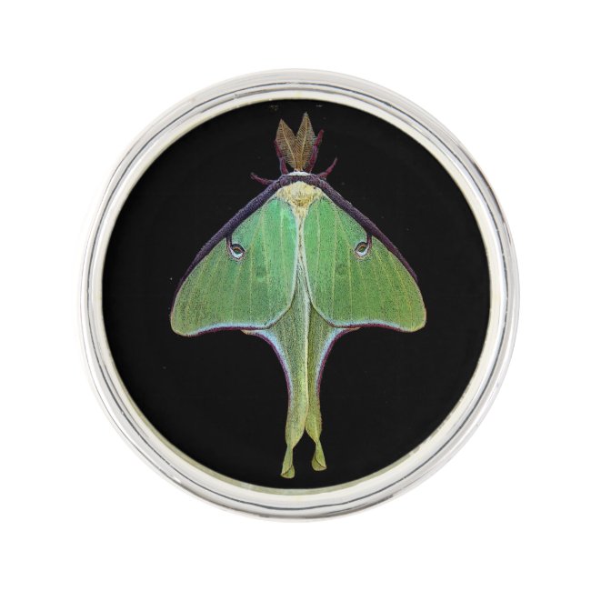 Luna Moth Lapel Pin