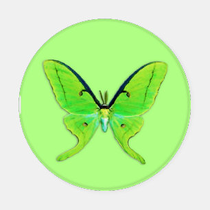 Luna Moth - Lime Green on a Pale Green Background Coaster Set