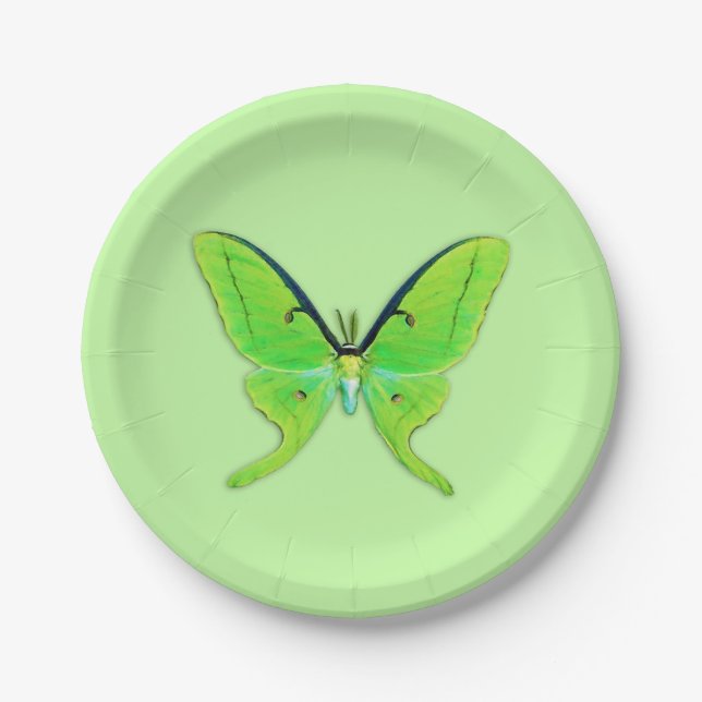 Luna moth - lime green on a pale green background paper plates (Front)