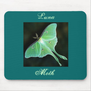 Luna Moth, Luna, Moth Mouse Pad
