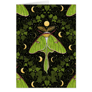 Luna moth, moon phases and ivy damask 2 cards