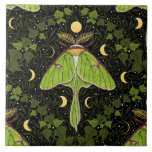 Luna moth, moon phases and ivy damask 2 ceramic tile<br><div class="desc">Hand-painted pattern design with luna moth,  ivy and willow leaves damask pattern background</div>