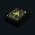 Luna moth, moon phases and ivy damask 2 gift box<br><div class="desc">Hand-painted pattern design with luna moth,  ivy and willow leaves damask pattern background</div>