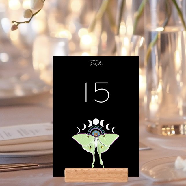 Luna Moth Moon Phases Holder (Creator Uploaded)