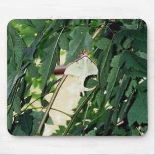 Luna Moth Mouse Pad