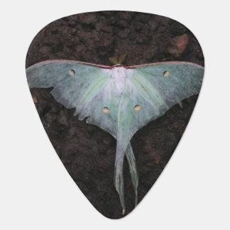 luna moth nature butterfly fairy fantasy dream guitar pick