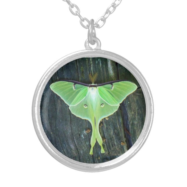 Luna Moth Necklace (Front)