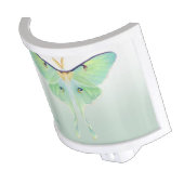 Luna Moth Night Light (Angled)